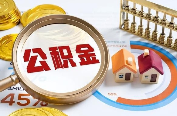 乐山公积公提取（2019提取公积金的方法）